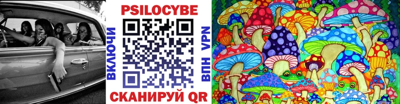 наркота Бугуруслан Псилоцибиновые грибы Cubensis